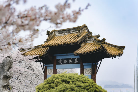 淮安專升本哪個培訓機構好？靠譜嗎？