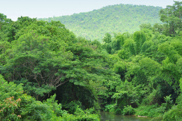 林學(xué)專(zhuān)升本一年需要學(xué)費(fèi)多少？怎么報(bào)名繳費(fèi)？