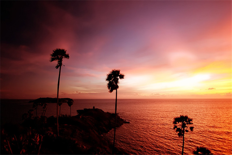 東莞專(zhuān)升本網(wǎng)上報(bào)名流程