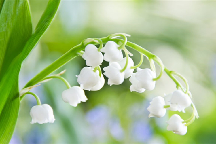 珠海專升本考試科目有多少門？有哪些？