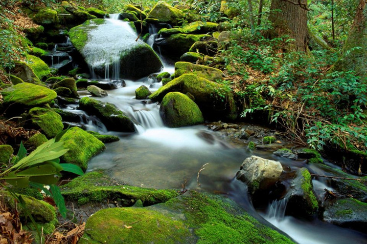 專(zhuān)升本英語(yǔ)專(zhuān)業(yè)報(bào)考哪個(gè)大學(xué)好？