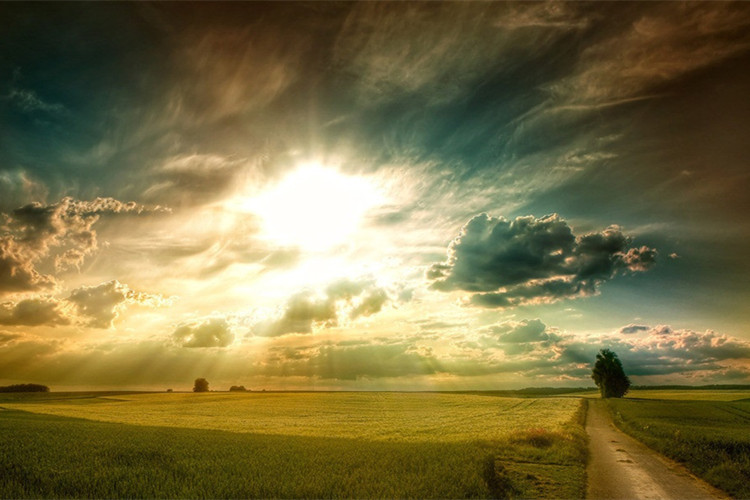 中山專升本如何報名？