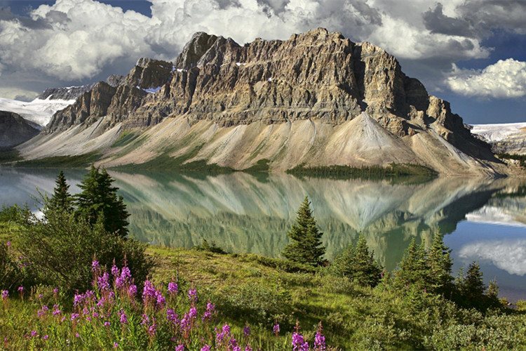 東營(yíng)怎么快速升學(xué)歷？