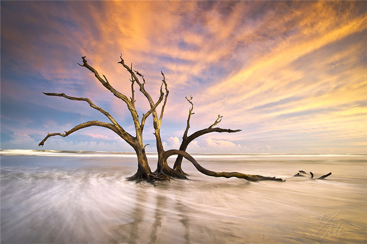 學前教育?？粕究凭W(wǎng)絡教育怎么樣？