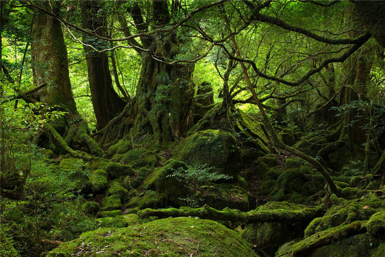 英語成人專升本有用嗎？