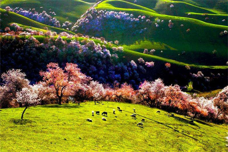 汕尾成人專升本院校有哪些？