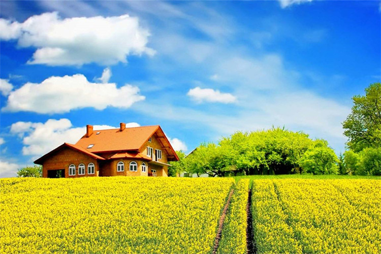 雅安專升本網(wǎng)上如何報(bào)名？