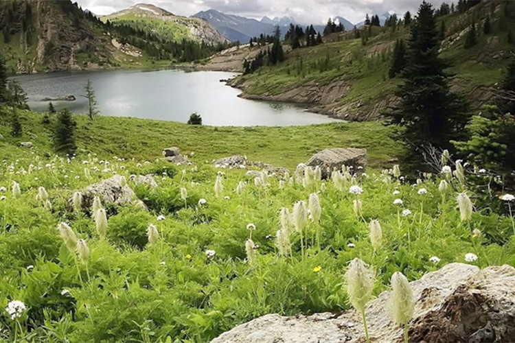 北京中醫(yī)藥大學(xué)網(wǎng)絡(luò)教育學(xué)費(fèi)要多少？