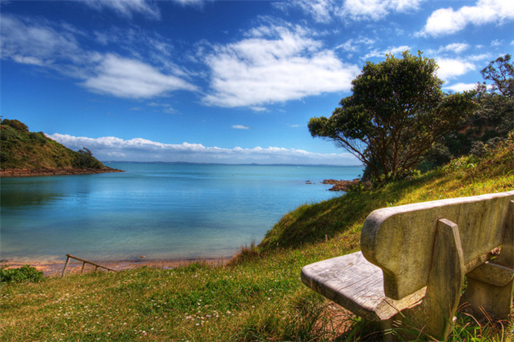 電子科技大學網絡教育有沒有免試入學？