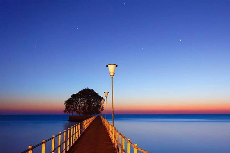 天津大學(xué)網(wǎng)絡(luò)教育免試入學(xué)要什么條件？