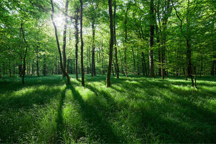 隴南上班族提升學(xué)歷的靠譜機(jī)構(gòu)有哪些？