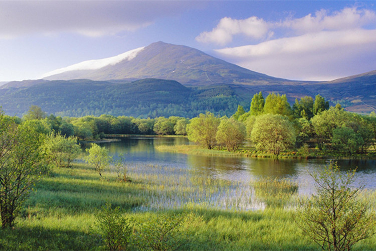 涼山彝族自治州成人專升本可以報考哪些學校？