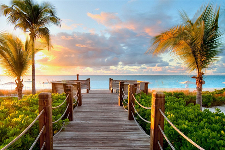 土地資源管理自考科目有哪些？