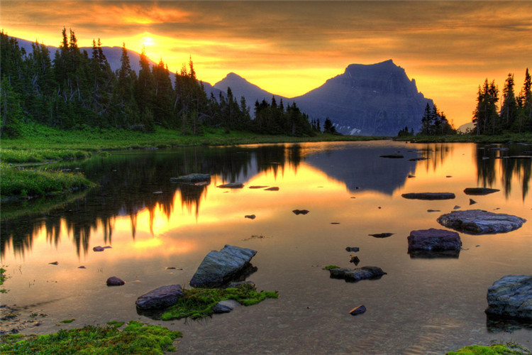 網(wǎng)絡(luò)工程?？粕究圃盒Ｓ心男?？