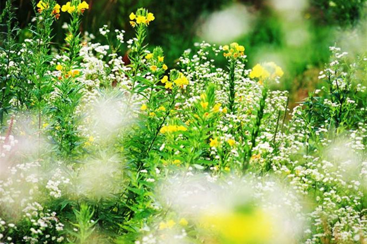 中國石油大學(xué)（北京）自考通過率高嗎？