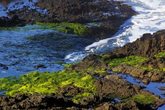 東北財經(jīng)大學專升本難嗎？