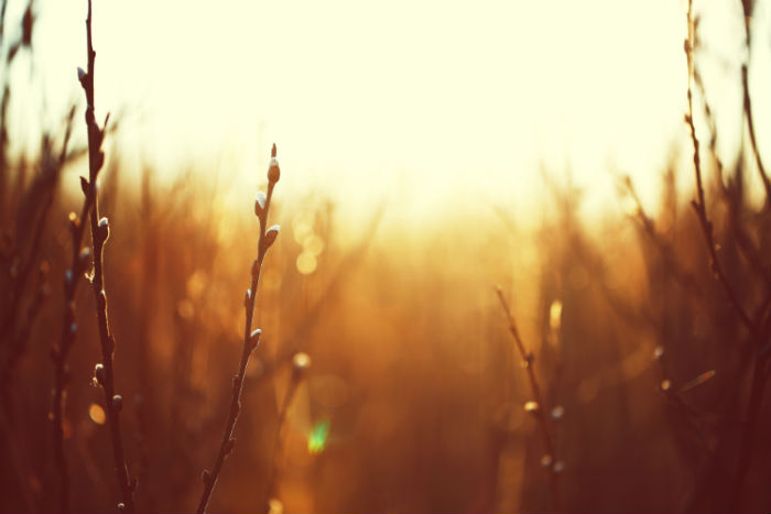 儋州專(zhuān)升本哪個(gè)培訓(xùn)機(jī)構(gòu)好？靠譜嗎？