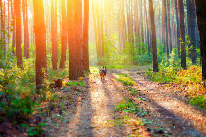 武威成人專升本學(xué)歷提升哪個培訓(xùn)機構(gòu)好？