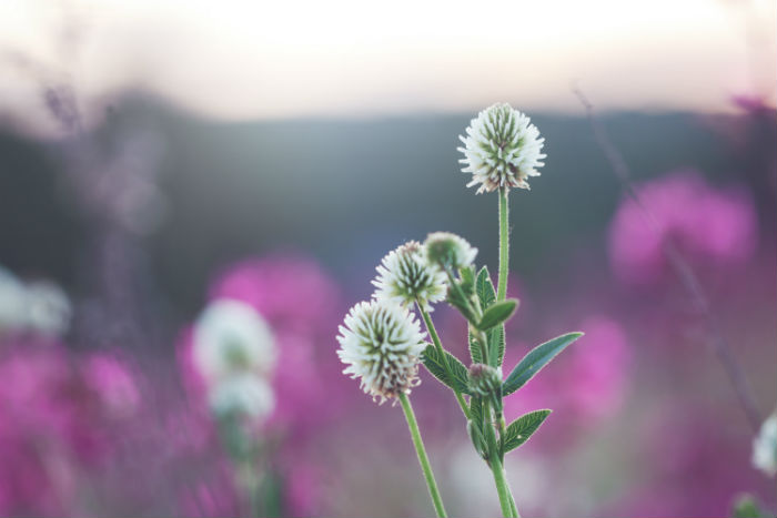 臨夏回族自治州哪里有專升本培訓教育機構(gòu)報名？