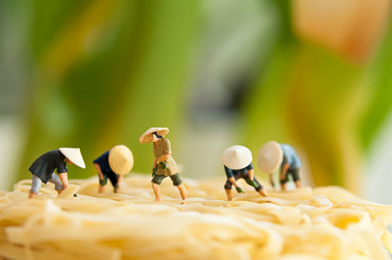 日語專升本報(bào)考所需學(xué)費(fèi)費(fèi)用是多少？