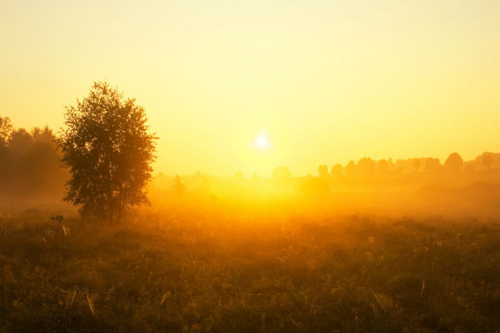 攝影攝像技術(shù)高起專學習多久才能申請畢業(yè)？