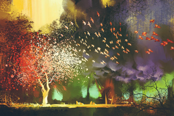 北京師范大學(xué)網(wǎng)絡(luò)教育學(xué)院畢業(yè)申請的學(xué)歷有用嗎？