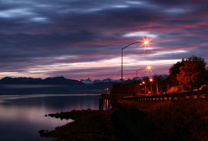 東北農(nóng)業(yè)大學(xué)專升本考生選擇什么方式報名比較靠譜？