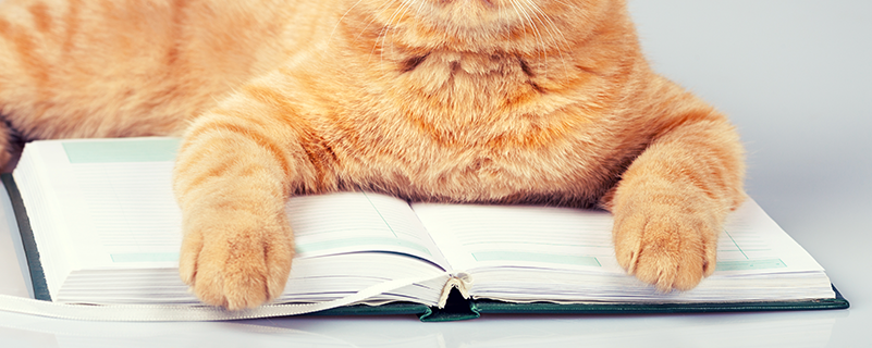 廣西金融職業(yè)技術學院可以專升本嗎