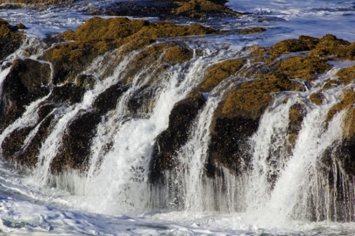 南京專(zhuān)升本培訓(xùn)機(jī)構(gòu)排名