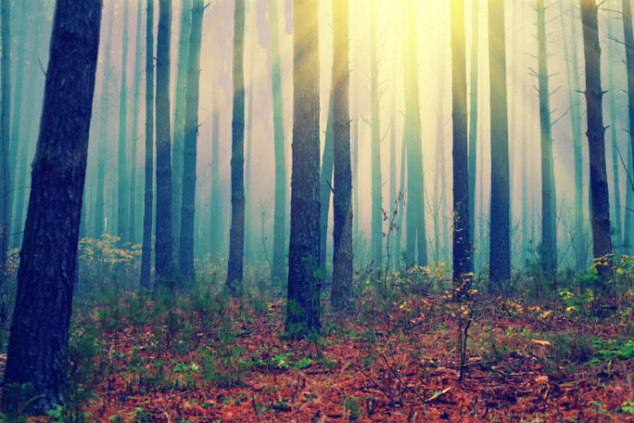 2020無(wú)錫專升本網(wǎng)上報(bào)名入口