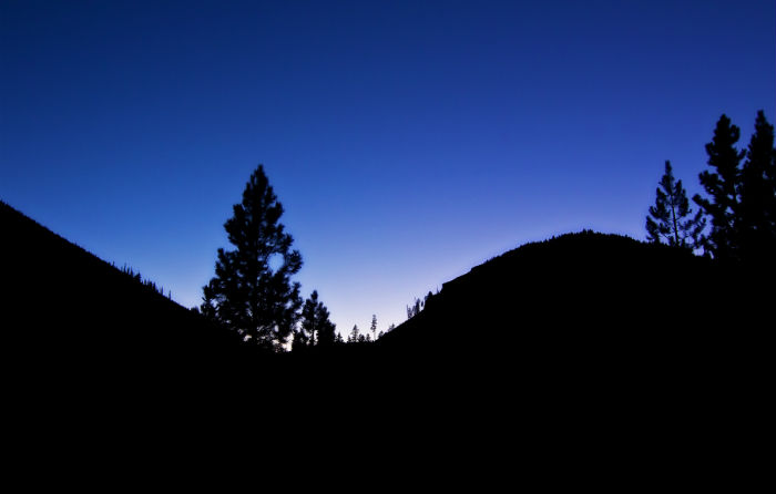 成考?？颇軋?bào)名哪些東北財(cái)經(jīng)大學(xué)網(wǎng)絡(luò)教育本科專業(yè)？