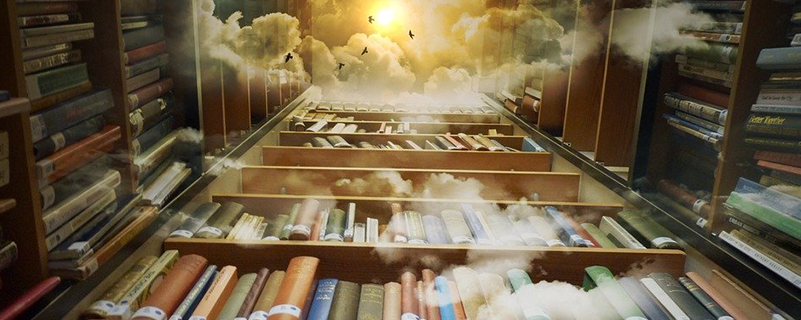 網絡教育多久能查到學籍信息