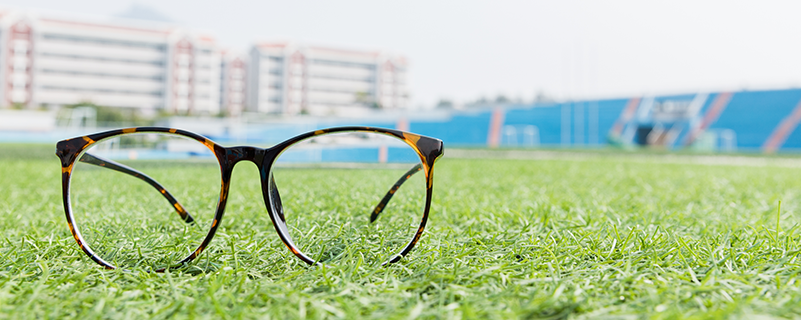 網(wǎng)絡(luò)教育法學有什么課程