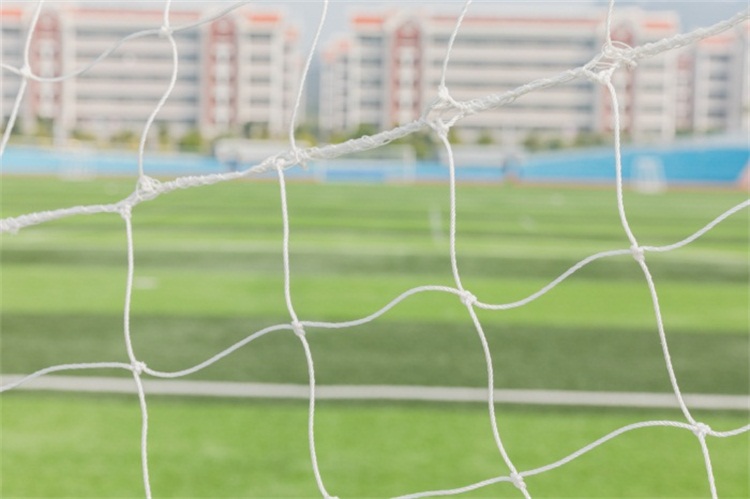 早期教育專升本可以報(bào)什么專業(yè)