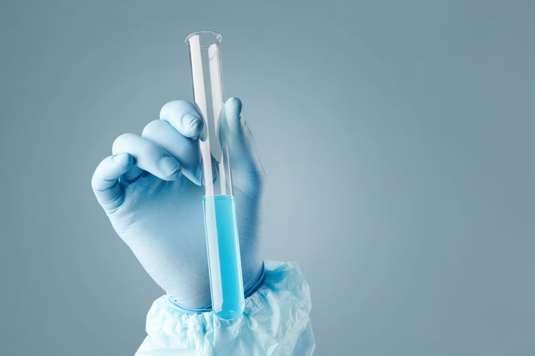 四川農(nóng)業(yè)大學(xué)網(wǎng)絡(luò)教育學(xué)院怎么樣？