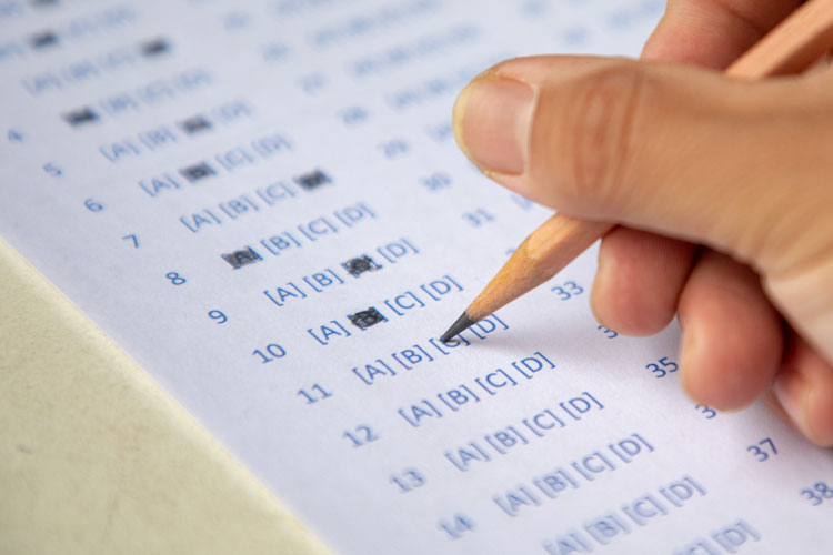 東北財(cái)經(jīng)大學(xué)網(wǎng)絡(luò)教育怎么樣？