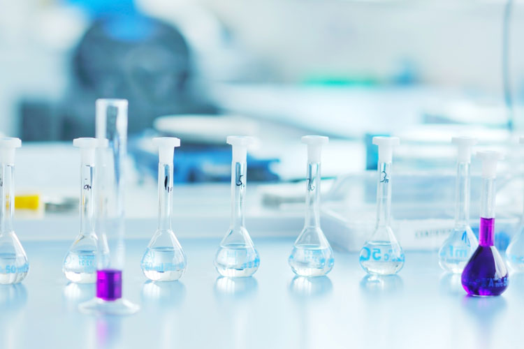 醫(yī)學(xué)專升本可以報考哪些大學(xué)