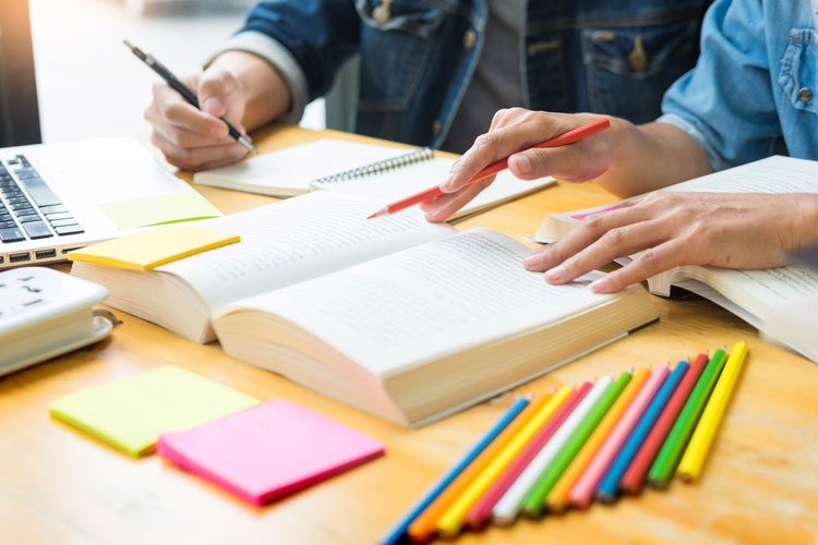 遵義專(zhuān)升本有哪些專(zhuān)業(yè)可以報(bào)考？