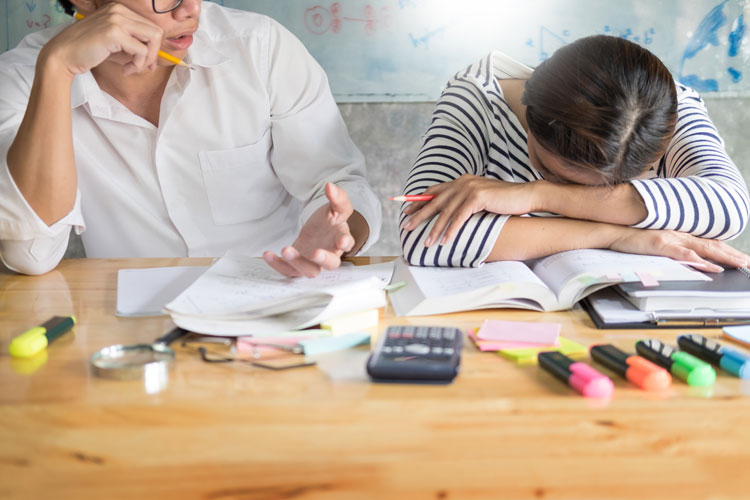 酒泉網(wǎng)絡(luò)教育專業(yè)都有哪些？