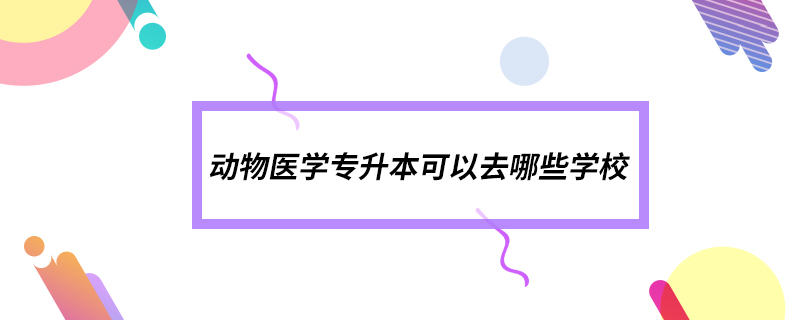 動物醫(yī)學專升本可以去哪些學校