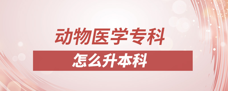 動(dòng)物醫(yī)學(xué)?？圃趺瓷究? /></p><p style=