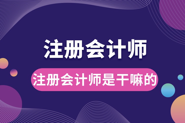 注冊(cè)會(huì)計(jì)師是干嘛的.jpg