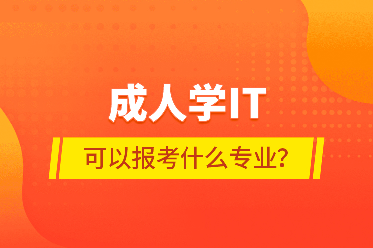 成人學(xué)IT可以報(bào)考什么專業(yè)？