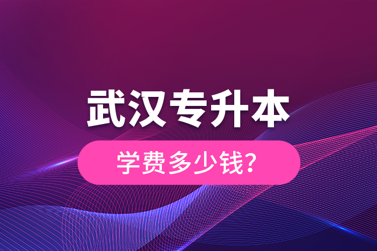武漢專升本學(xué)費(fèi)多少錢(qián)？