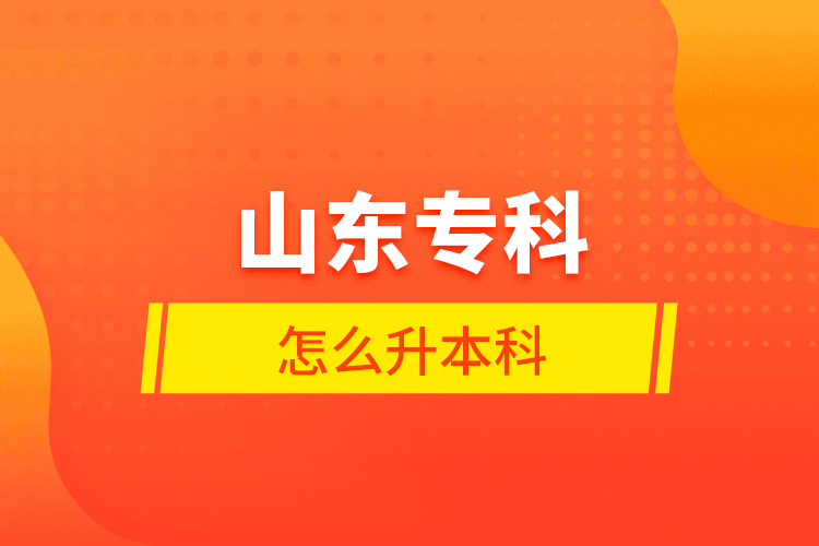 山東專科怎么升本科