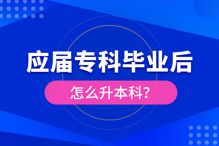 應(yīng)屆?？飘厴I(yè)后怎么升本科？