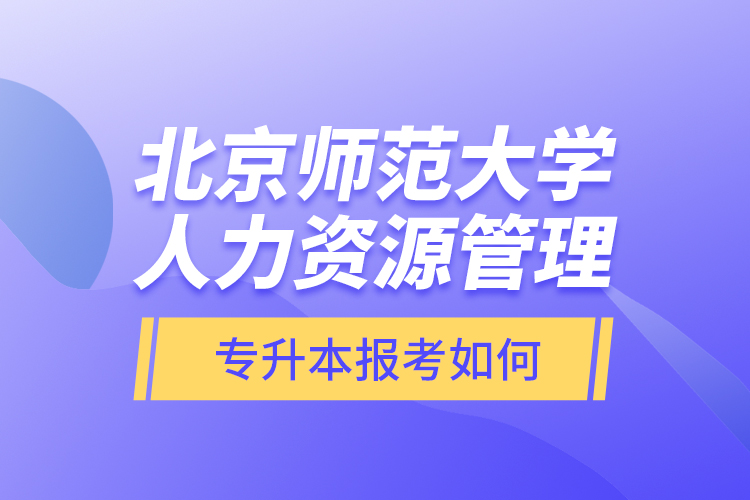 北京師范大學(xué)人力資源管理專升本報考如何？