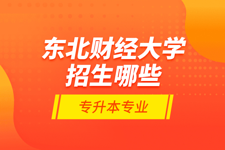東北財經(jīng)大學(xué)招生哪些專升本專業(yè)？